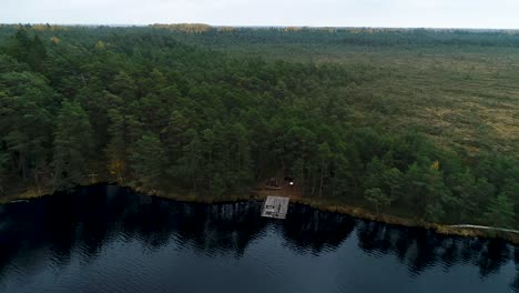 coloridos bosques estacionales y lago pantanoso en imágenes aéreas de otoño