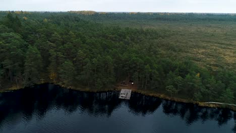 colorful seasonal forests and bog lake in autumn time aerial footage