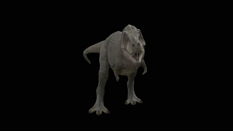 dinosaurio trex bucle caminando con el canal alfa
