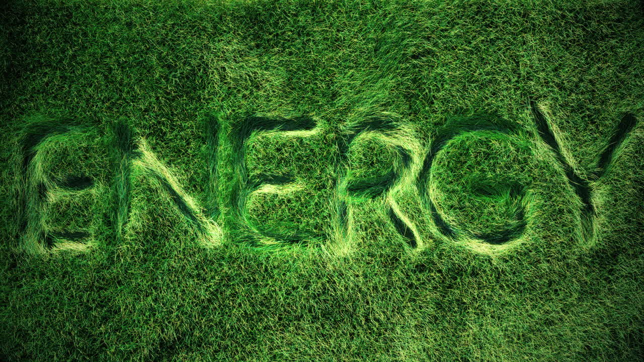 푸른 풀밭의 탑뷰에 "에너지"라는 단어가 새겨진 3차원 애니메이션, 바람과 공기에 미묘하게 흔들리는 풀잎, 풀밭에 모션 그래픽 글자가 박혀 있다