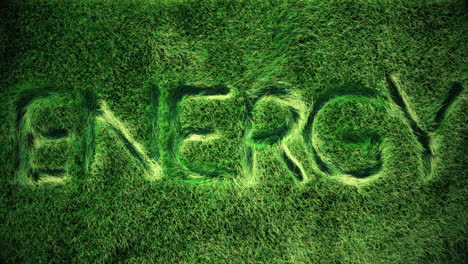 huella de animación 3d de la palabra "energía" en una vista superior de un campo de hierba verde, briznas de hierba ondeando sutilmente en el viento y el aire, las letras de gráficos en movimiento se acuñan en la hierba