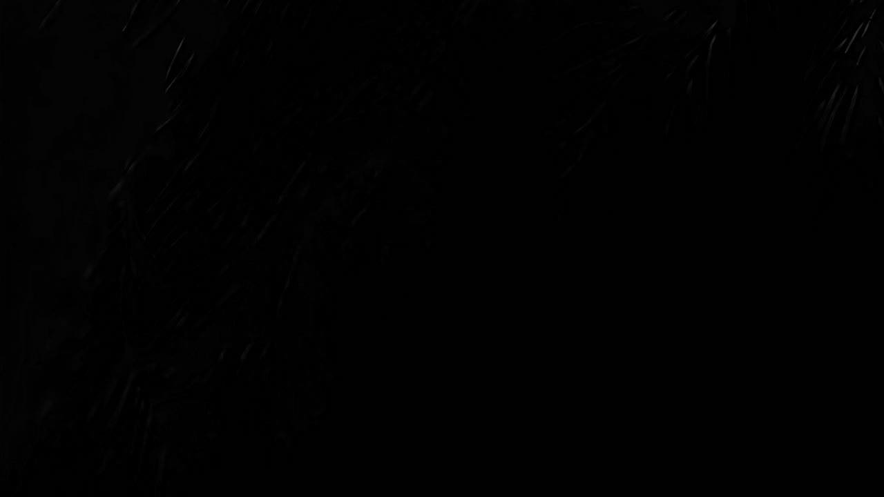 Tropical shadow leaves pattern animated overlay, transparent 4K video, alpha channel, ProRes 4444