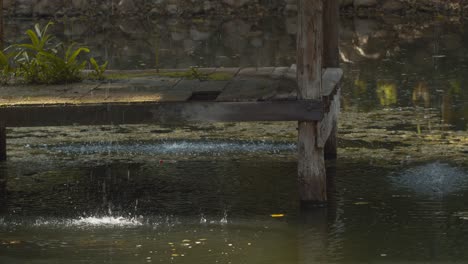 Un-Lugar-Para-Relajarse,-Despejar-La-Mente-Y-Estar-En-Armonía-Con-La-Naturaleza-Mientras-El-Agua-Cae-De-Un-Pabellón-A-Un-Estanque-En-Este-Jardín-De-Ensueño