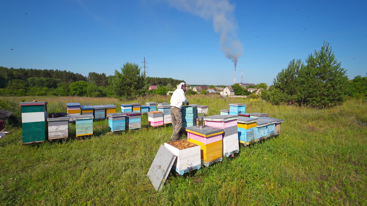 Apiarist near wooden beehives. Beekeeper works on apiary on the background of industrial pipes with smoke among nature. Beekeeping process in summer.
