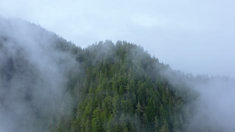 dramatic aerial through clouds revealing rugged forest shrouded in fog