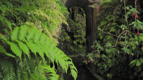 tropical garden archway with lush plants