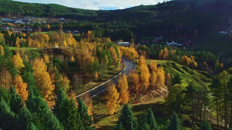 bird's eye view of a typical autumn landscape in norway