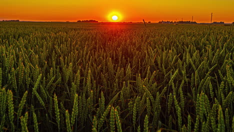 cronograma estático de puesta de sol en un campo con colores maravillosos en el horizonte hasta que el sol está escondido