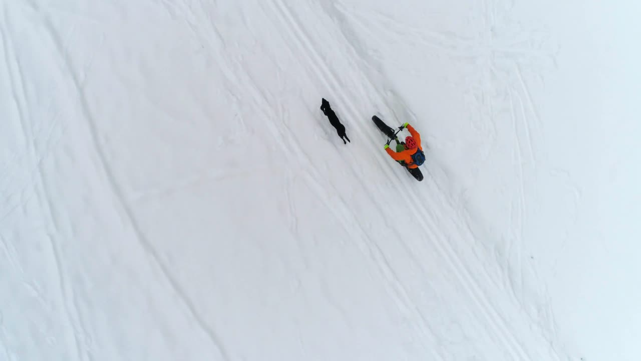 hombre con perro en bicicleta en un área nevada 4k