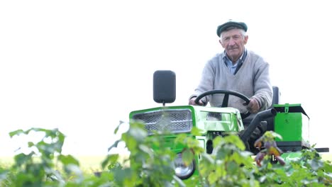 an elderly farmer sits in a small tractor on the field senior farmer with a tractor working in the field