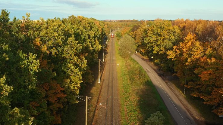 Train Ride Through Autumn Forest