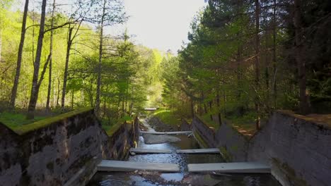 uitzicht op een gekanaliseerde rivier in een zwitsers bos