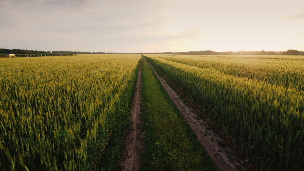 Epic Landscape With A Road In The Middle Of Wheat Fields Steadicam Pov Video