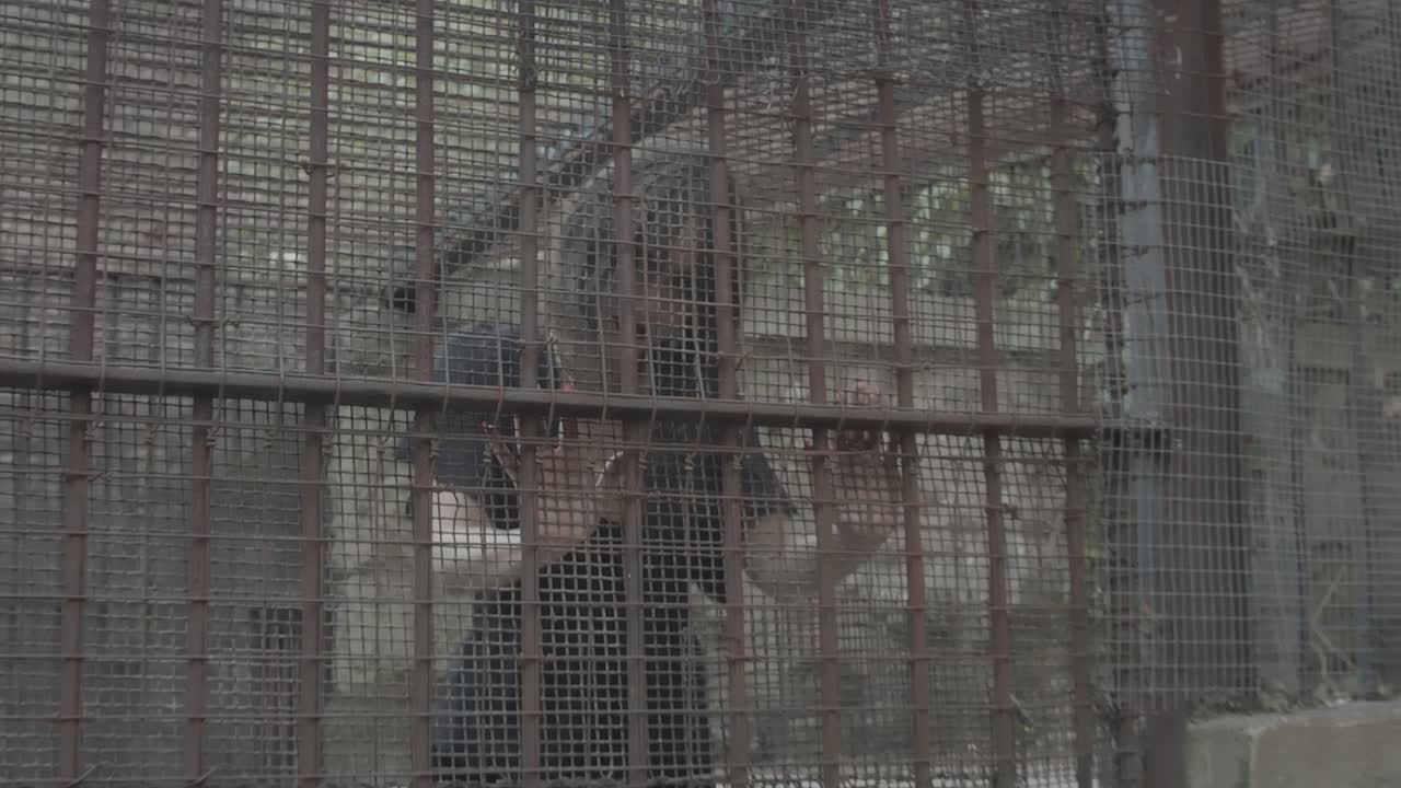 카메라를 보고 새장에 갇힌 젊은 여자