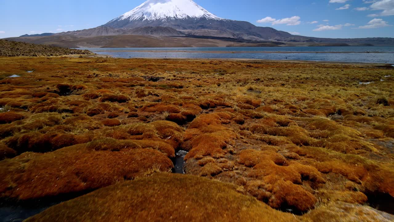 Aerial view of Chungara Lake , Lauca National Park in Chile - reveal, drone shot