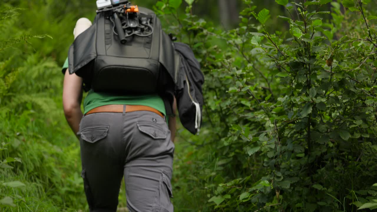 Rear Of A Backpacker Walking Up Trail In Dense Forest
