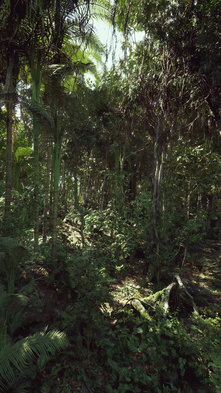 Serene tropical landscape filled with diverse flora and fauna