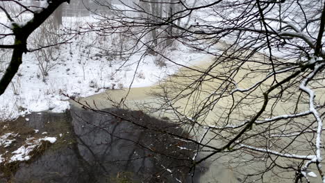 Reflexionen-Von-Ästen-Durch-Schlammige-Pfütze-In-Einem-Winterwald