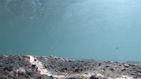 Static-underwater-shot-of-child-walking-past-camera-with-orange-floating-device---Shot-from-sandy-bottom-of-ice-cold-glacial-lake-Lovatnet-Norway---Beautiful-shiny-sun-reflections-from-surface