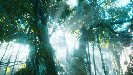 green tropical forest with ray of light