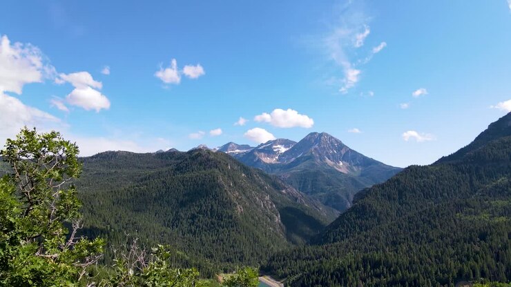 Volando tra gli alberi per rivelare una catena montuosa e una foresta panoramiche.