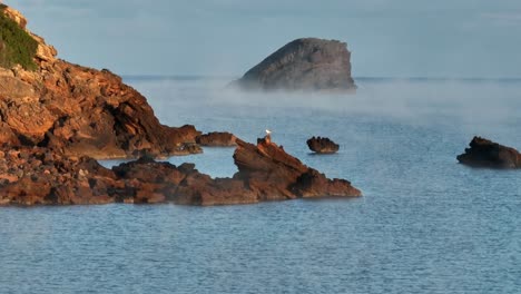 A-seagull-and-the-amazing-ocean-at-La-Vall-Virgin-Beach,-Menorca