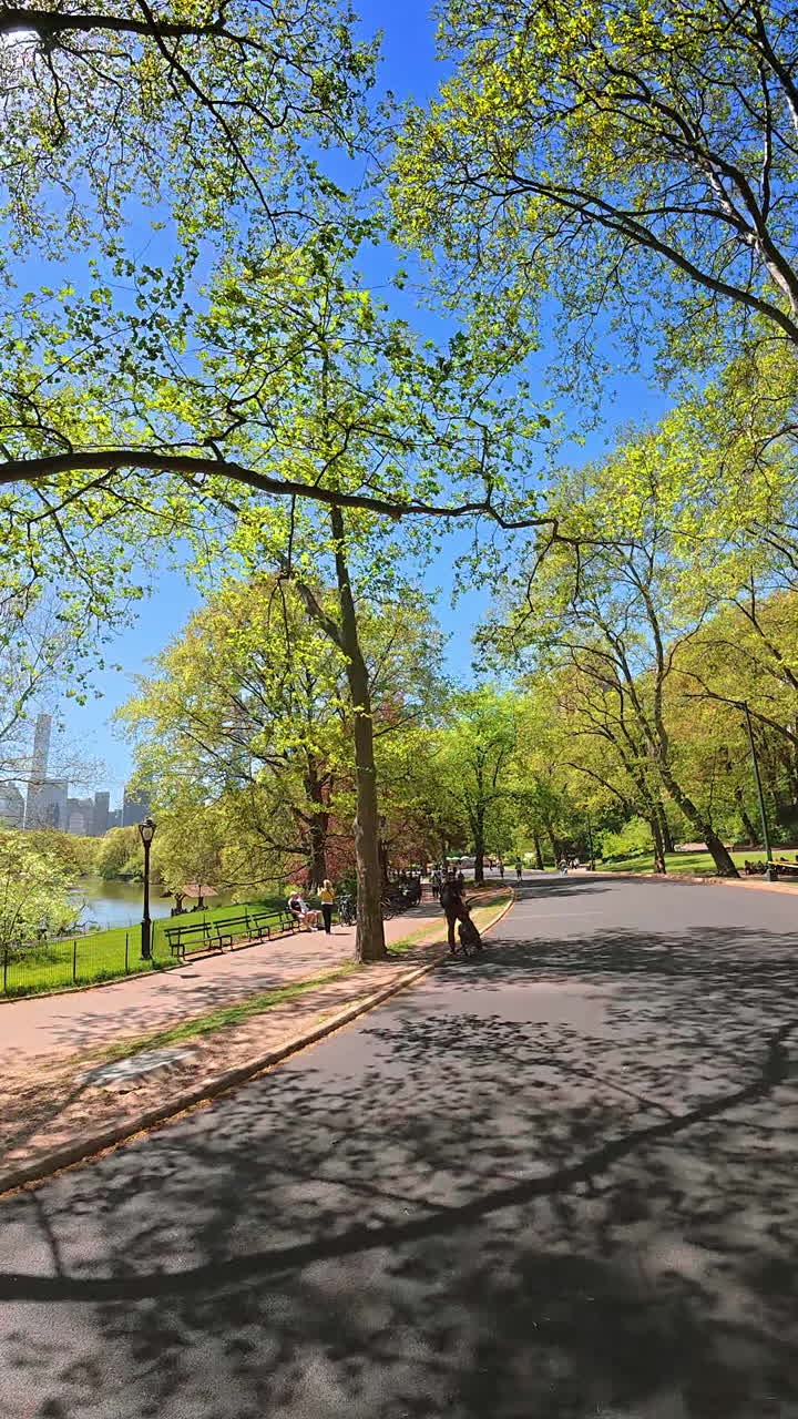 Nueva York, EE. UU., 3 de agosto de 2025: paseo soleado en Central Park, Nueva York. Gente paseando bajo árboles verdes en un día brillante de primavera en Central Park, Nueva York