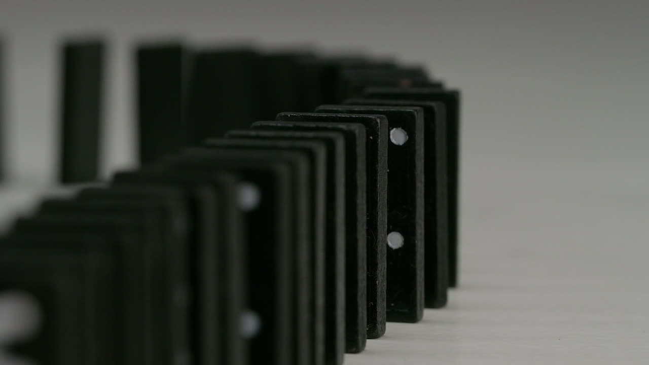 dominó negro puntos blancos en estudio