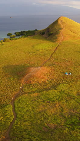 aerial view of one rock hill at the end of kenawa island (pulau kenawa) in sumbawa regency, west nusa tenggara, indonesia. vertical shot