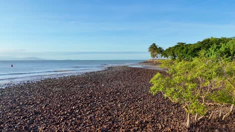 drone footage captures lush mangroves along a rocky shoreline under clear skies in port douglas, australia