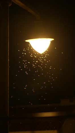insects swarming a street light at night