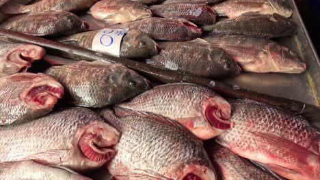 vendor arranging fish at a busy market stall