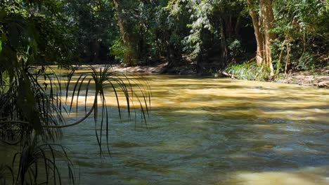 the kirindi oya river flowing high and muddy in wellawaya, monaragala district, uva province of sri lanka