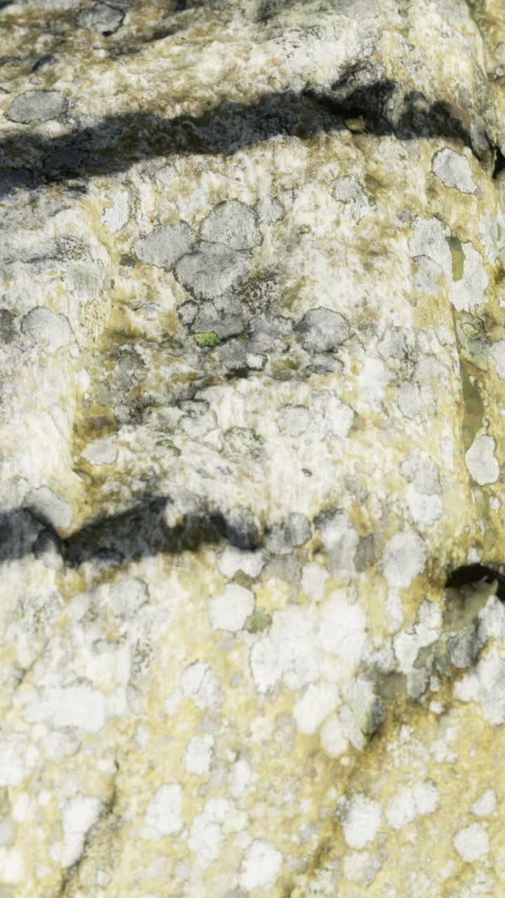 Klippeoverfladen viser tekstur- og farvevariationer i naturlige omgivelser.