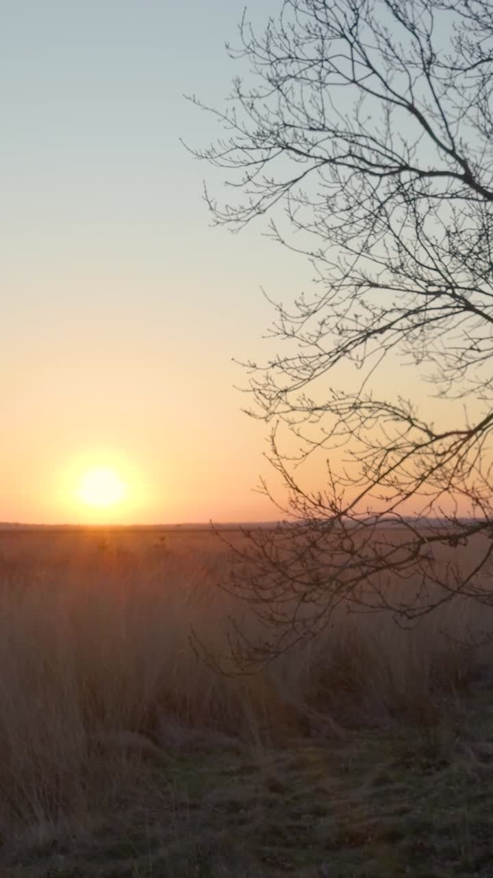 Il tramonto su un campo erboso