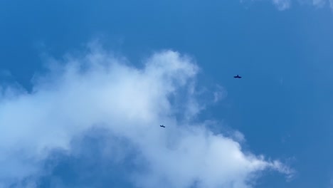 a group of black birds swooping across the blue sky with white clouds