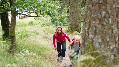 two children walking along a trail in a forest amongst greenery, handheld, lake district, uk