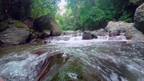 Close-up-shot-showing-flowing-stream-between-algae-rocks-in-forest-during-sunny-day---Rio-Jima,-Bonao,-Dominican-Republic