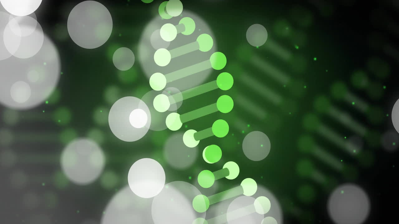 dna 스트랜드 및 보케 조명, 과학 연구 애니메이션