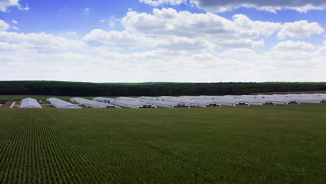 modern farm among agricultural fields. white farm buildings on beautiful nature background. agricultural complex on rural landscape. motion camera to the left.