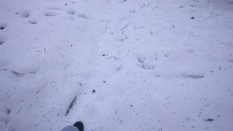 man filming himself walking in the snow in winter clothes