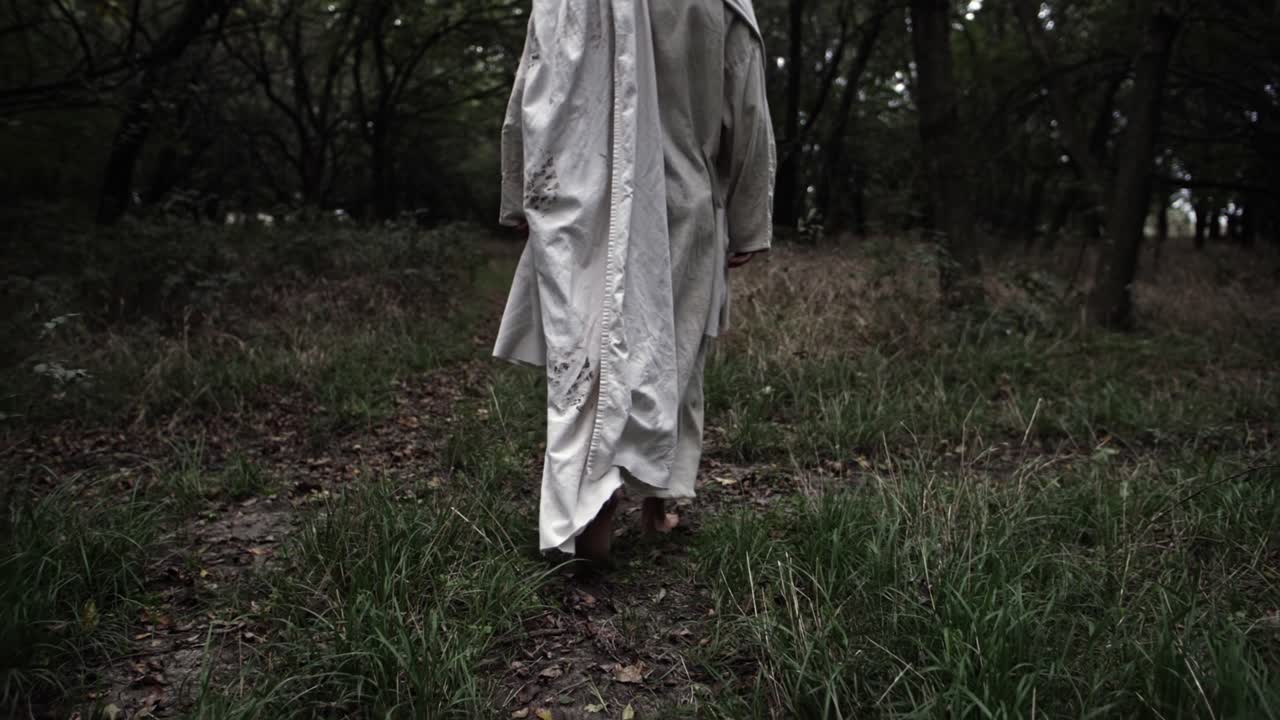 Robed man or Jesus walking through forest trees