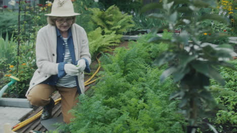 senior woman tending to her garden