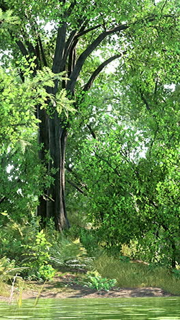 tranquil forest scene with lush greenery