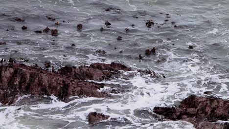 Waves-breaking-on-rocks.-Devon.-England.-UK