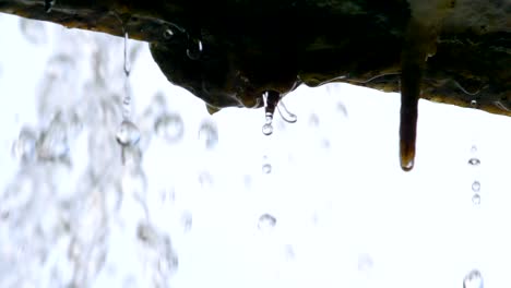 slow motion: water drop fall from eaves in close up