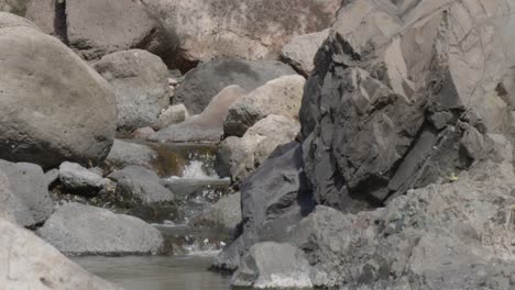 small stream of water flowing between large gray stones, in a town in southern honduras