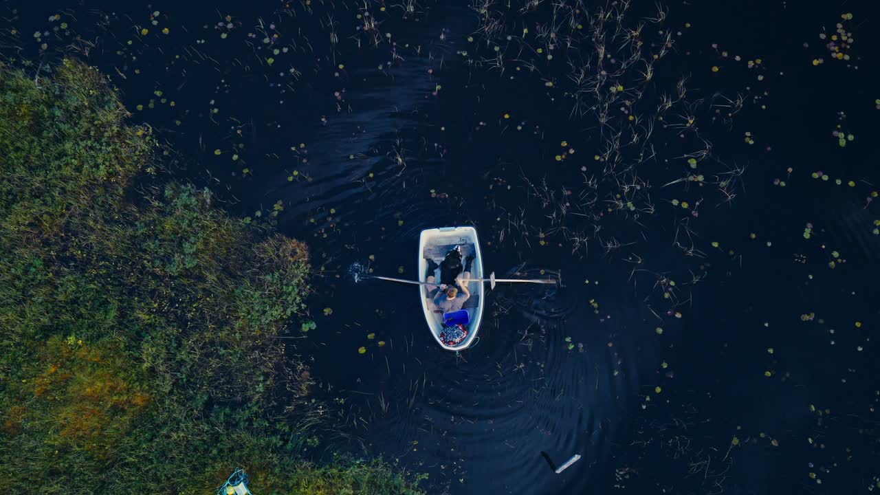 Top-down aerial view of a man and his dog launching a white rowboat from a marshy shoreline and beginning to row across a calm farm pond using wooden oars