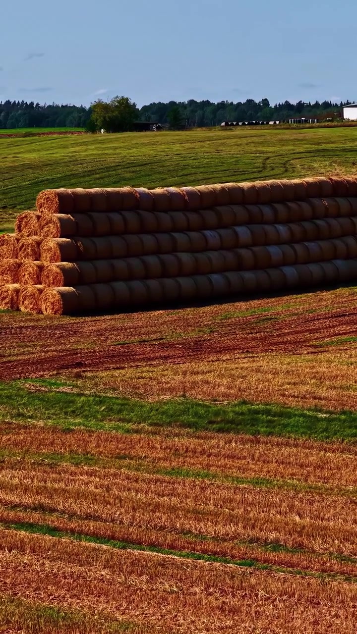 Droneoptagelser, der viser store hø- og ensilageballer pænt stablet på en nyhøstet mark, og som fremviser moderne landbrug, landlige landskaber, afgrødeproduktion og landlige mønstre.