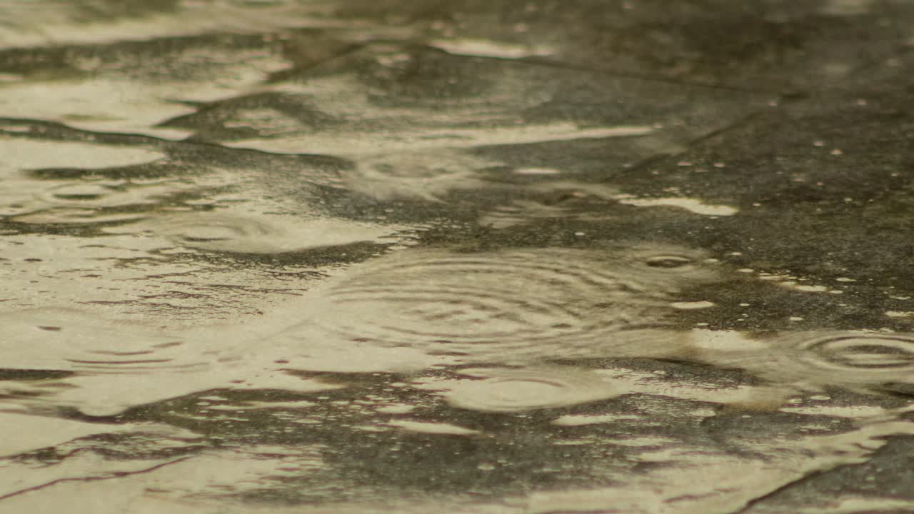 Rain Shower Creating Puddle On Brick Foot Path Close Up, Daytime Maffra, Gippsland, Victoria, Australia